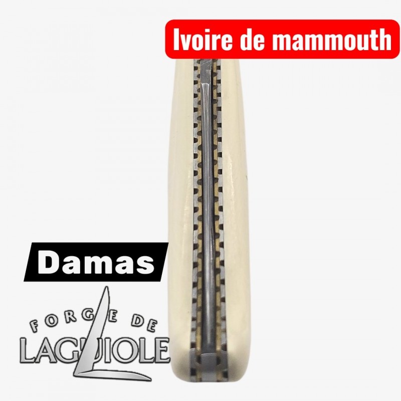 Forge de Laguiole - Collection damas - ivoire de mammouth - double platine laiton inox- dessus dessous