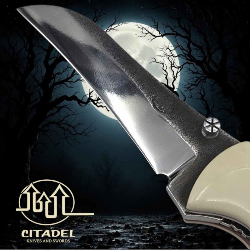 Couteau Citadel Leonardo chauve-souris os buffle inox n690 co
