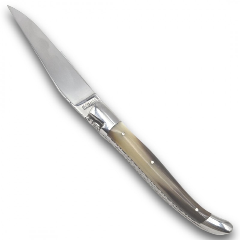 Laguiole en Aubrac double platine pointe corne