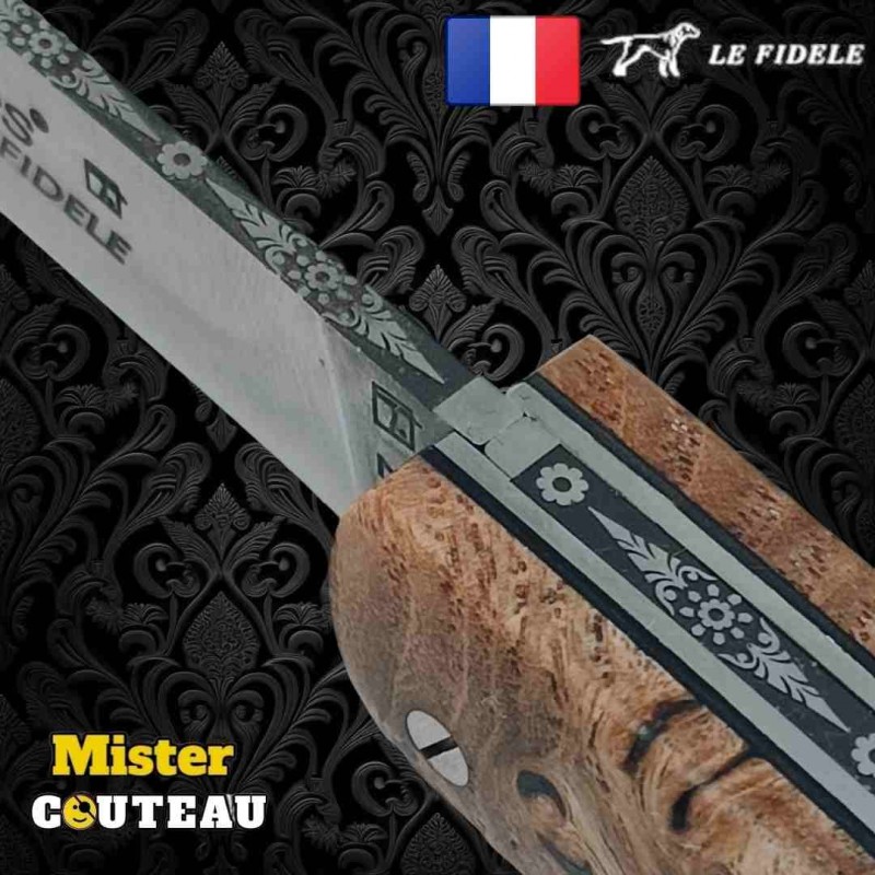 Couteau Thiers par Le Fidèle marronnier stabilisé