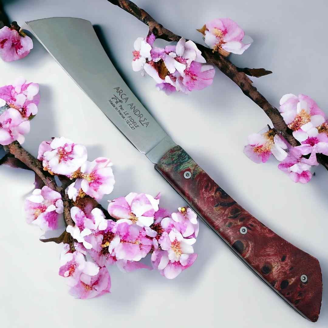 Couteau  Arca Andrea par Le Fidèle loupe de frene stabilisé