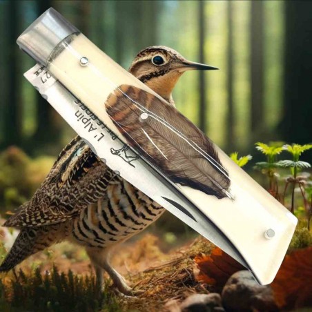 Plume du peintre de bécasse et plombs de chasse Couteau modèle Aurillac Pistachier Térébinthe